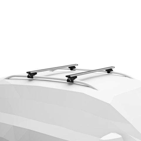 Thule Pulse 2 M 400L Portbagaj + WingBar Evo Gri Tavan Taşıyıcı Seti