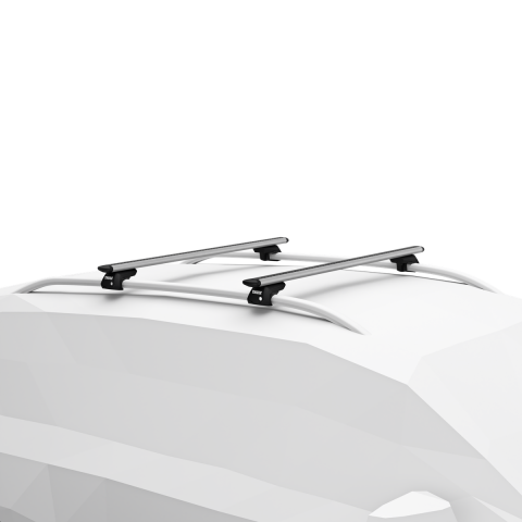 Thule Pulse 2 M 400L Portbagaj + WingBar Evo Gri Tavan Taşıyıcı Seti
