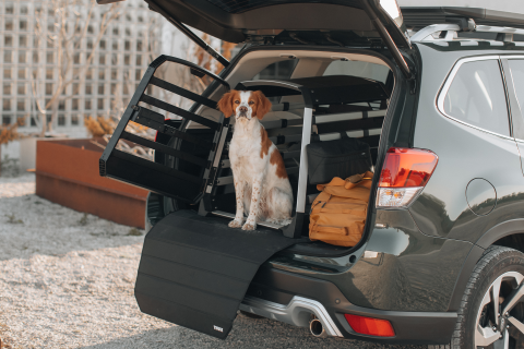 Thule Allax - Köpek Bagajı XS