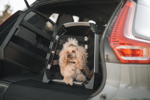 Thule Allax - Köpek Bagajı M