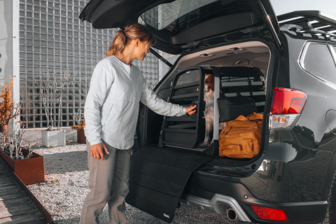 Thule Allax - Köpek Bagajı - XL Compact