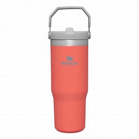 Stanley The IceFlow Flip Straw Pipetli Termos Bardak 0,89 LT Mercan
