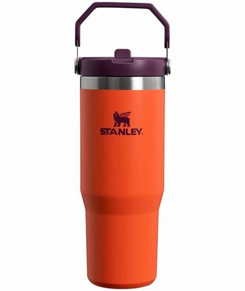 Stanley The IceFlow Flip Straw Pipetli Termos Bardak 0,89 LT Turuncu