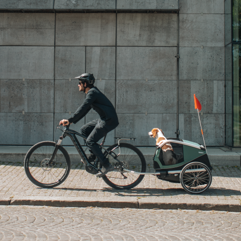 Thule Bexey L Köpek Römorku