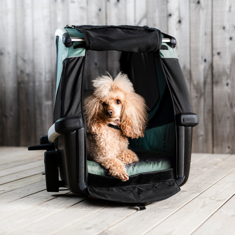 Thule Bexey M Köpek Römorku