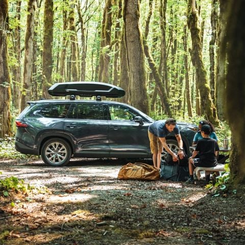 Thule Force 3 S Portbagaj Mat Siyah