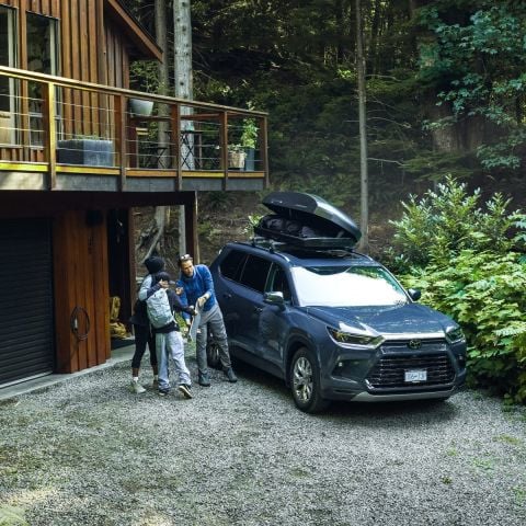Thule Force 3 L Portbagaj Mat Siyah
