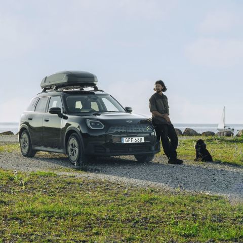 Thule Force 3 L Portbagaj Mat Siyah