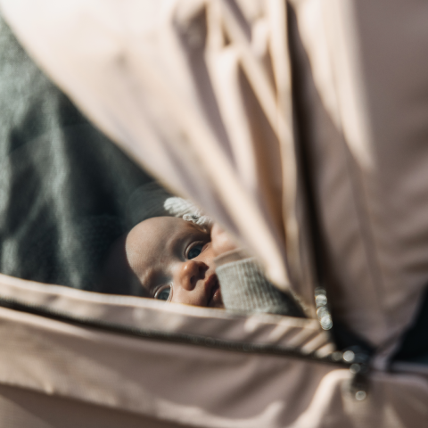 Thule Urban Glide 3 Bebek Arabası Açık Yeşil/Siyah