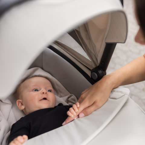 Thule Bassinet -Yenidoğan Açık Bej
