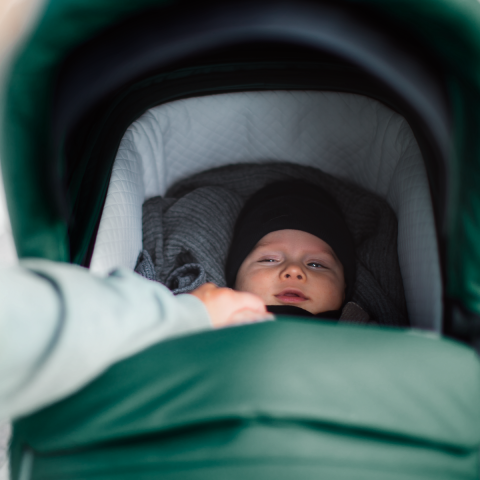 Thule Sleek Bassinet  Ana Kucağı Lacivert