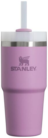 Quencher H2.O FlowState™ Tumbler Pipetli Termos  0.6 LT -Lila